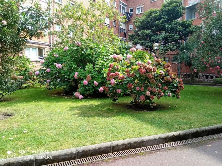 Lovely In Appartement *
